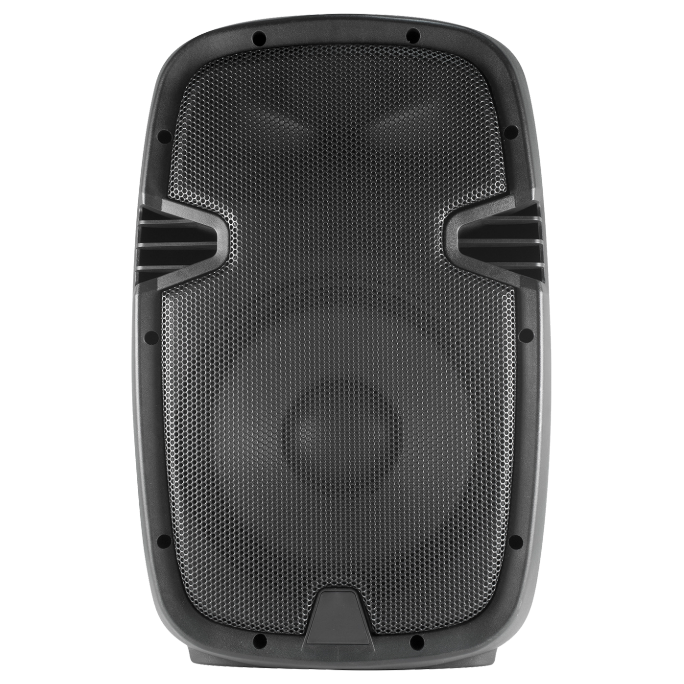 SAL Zvučna kutija, 220W, 8 Ohm, niskotonac 10