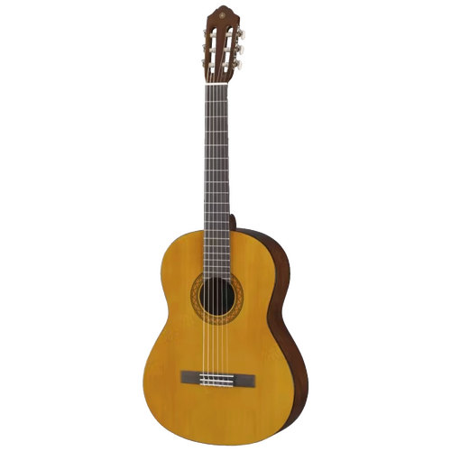 Klasična gitara 4/4