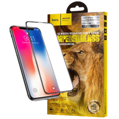 Zaštitno staklo za iPhone X / Xs