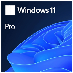 Windows 11 Pro OEM