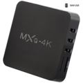 Falcom - MXQ-4K 2GB