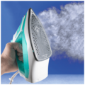 Pegla na paru, 2200 W Pegla na paru, 2200 W