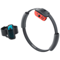 Igra + Ring Con za Nintendo Switch: Ring Fit Adventure