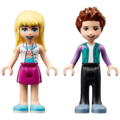 Kola hitne pomoći za ljubimce, LEGO Friends