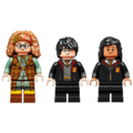 Sat proricanja sudbine, LEGO Harry Potter