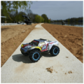 Automobil sa daljinskim upravljačem, RC Race Trophy, RTR