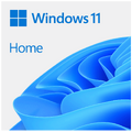 Microsoft - Windows 11 Home OEM