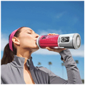 Blender za Smoothie, bežični, 532ml., USB type C
