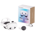 Virtualne naočale, All-In-One VR
