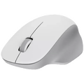 Xiaomi - Wireless Mouse Comfort Edition (W)