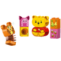 Winnie the pooh rodjendan party, LEGO Duplo
