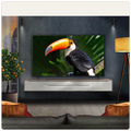 LG - Televizor AI Mini LED QNED7E 4K Smart 65