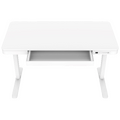Radni stol sa el. podešavanjem visine, 120 x 60 cm, USB Radni stol sa el. podešavanjem visine, 120 x 60 cm, USB